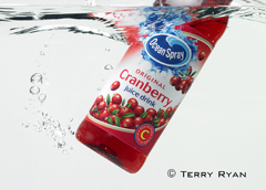Ocean Spray 1.jpg